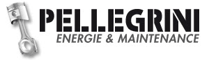 depannages-pellegrini-logo-3-300x88 Logo Pellegrini Energie